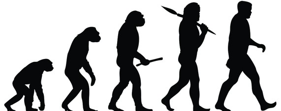 Human Evolution: A Lost Cause
